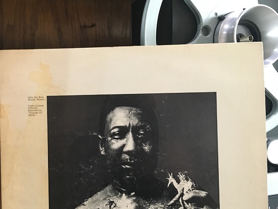 Muddy Waters