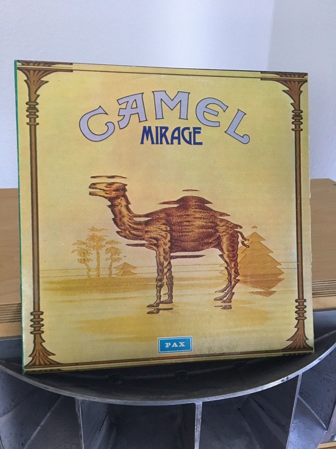 Camel