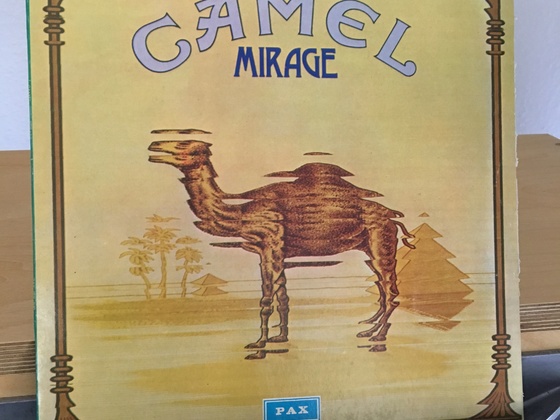 Camel