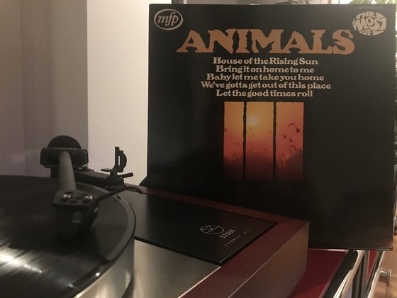 The Animals - The Most Of