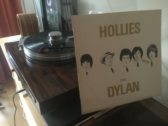 hollies