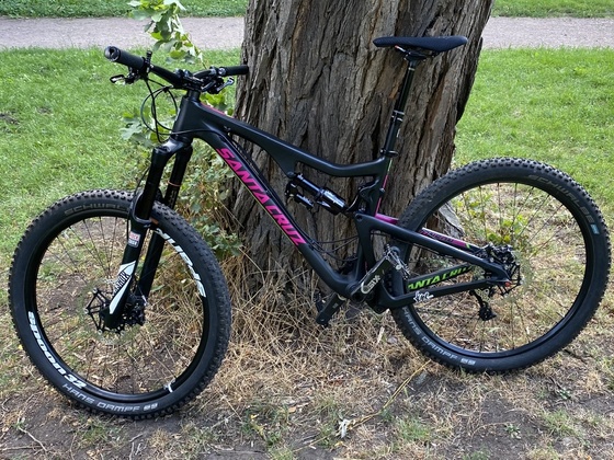 Santa Cruz Bronson