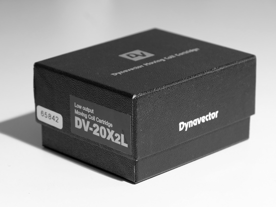 DV20X2L