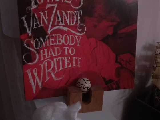 Townes van Zandt_Somebody had to writeit