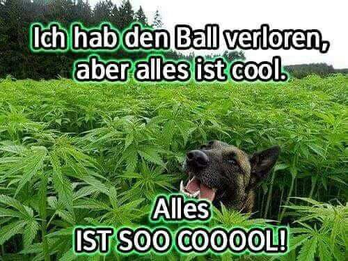 Alles ist so cool 😁