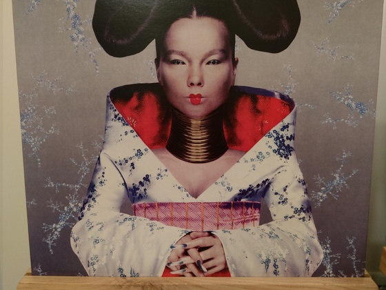 Björk