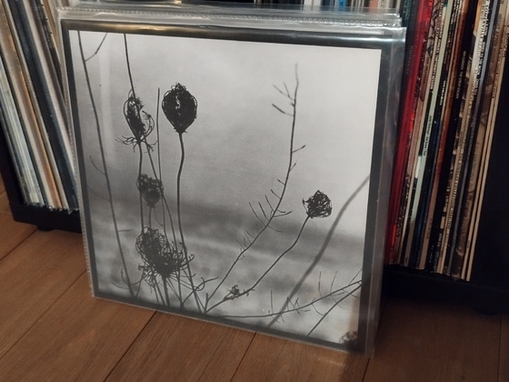 Recondite "Placid"