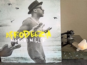 marcus miller afrodeezia