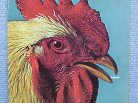 653