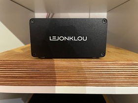 Lejonslik