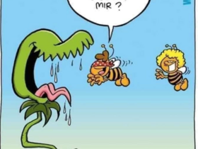 Biene Maja