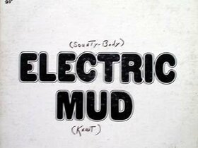 Waters_Muddy_Electric_mud.jpg